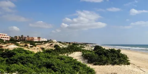Strand von Sancti Petri mit Dünen, grüner Vegetation und Hotels am Horizont.