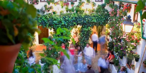 Blühende patios in Córdoba, mit Menschen, die durch den üppig begrünten Innenhof schlendern.