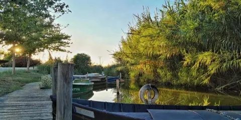 Boote liegen am Steg im Sonnenuntergang an der Albufera Valencia. Schilf säumt das Wasser.