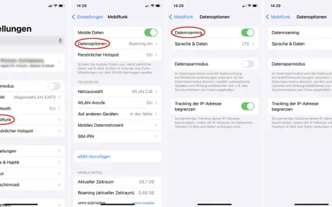 Einstellungen für Datenroaming in Spanien. Hier wird gezeigt, wie man die mobilen Datenoptionen für das Roaming konfiguriert.