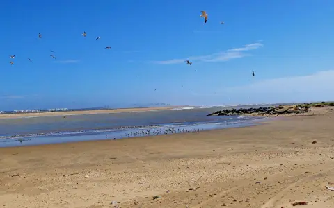 Möwen kreisen über dem weiten Huelva Strand. Das Meer glitzert, während sich im Hintergrund eine Stadt abzeichnet.