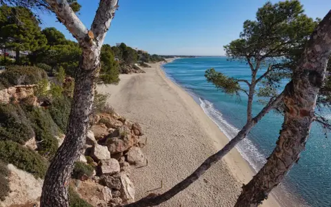 Blick auf den Strand von Calafell, Spanien, mit Pinien im Vordergrund und dem türkisfarbenen Meer.