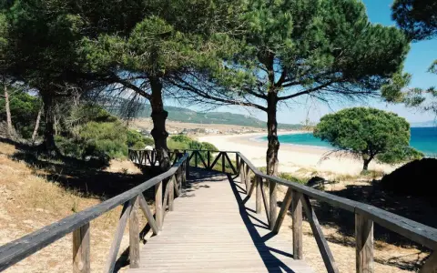 Holzsteg führt zu einem Strand mit Pinien. Ein perfekter Ort für einen Campingplatz Costa de la Luz.