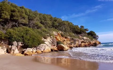Sandstrand mit Felsen und Pinienwald an der Küste von La Mora, Spanien. Wellen brechen sanft am Ufer.