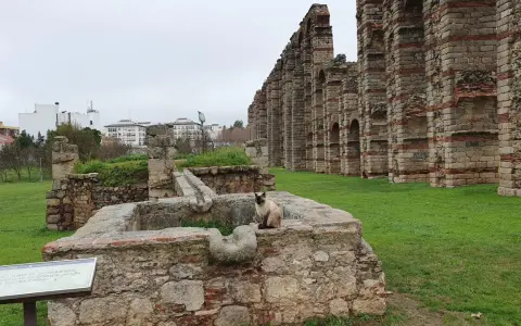 Eine Katze sitzt auf alten Steinen vor dem römischen Aquädukt von **Mérida, Spanien**.