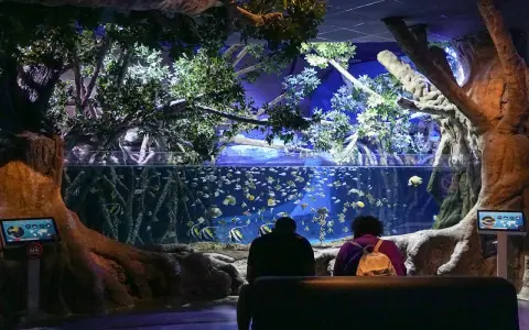 Besucher bestaunen im Aquarium Sevilla eine Welt voller bunter Fische, umgeben von üppiger Vegetation und beeindruckenden Baumstämmen.