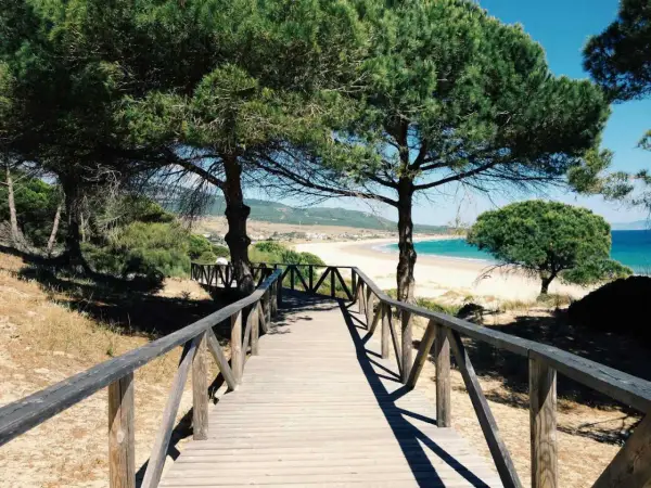 Holzsteg führt zu einem Strand mit Pinien. Ein perfekter Ort für einen Campingplatz Costa de la Luz.