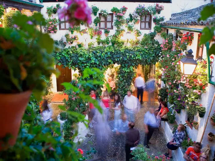 Blühende patios in Córdoba, mit Menschen, die durch den üppig begrünten Innenhof schlendern.